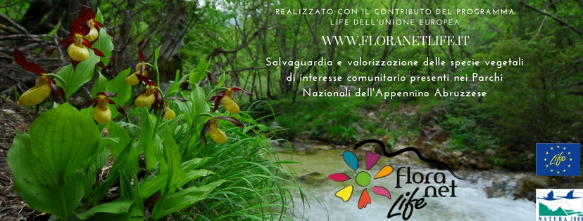 Contest fotografico flora degli Appennini